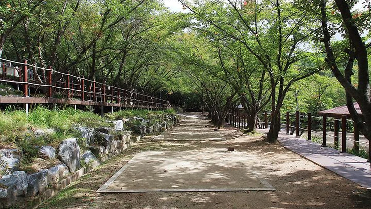 팔공산 국립공원 가산산성 야영장