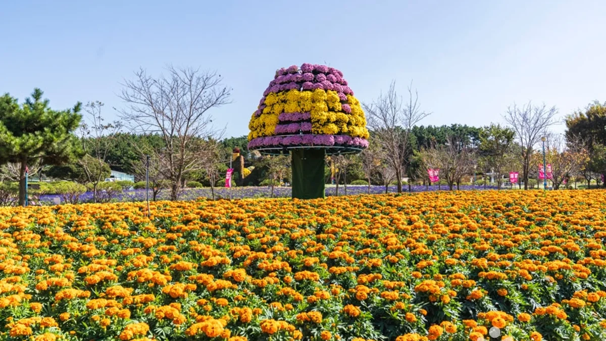 꽃지해안공원
