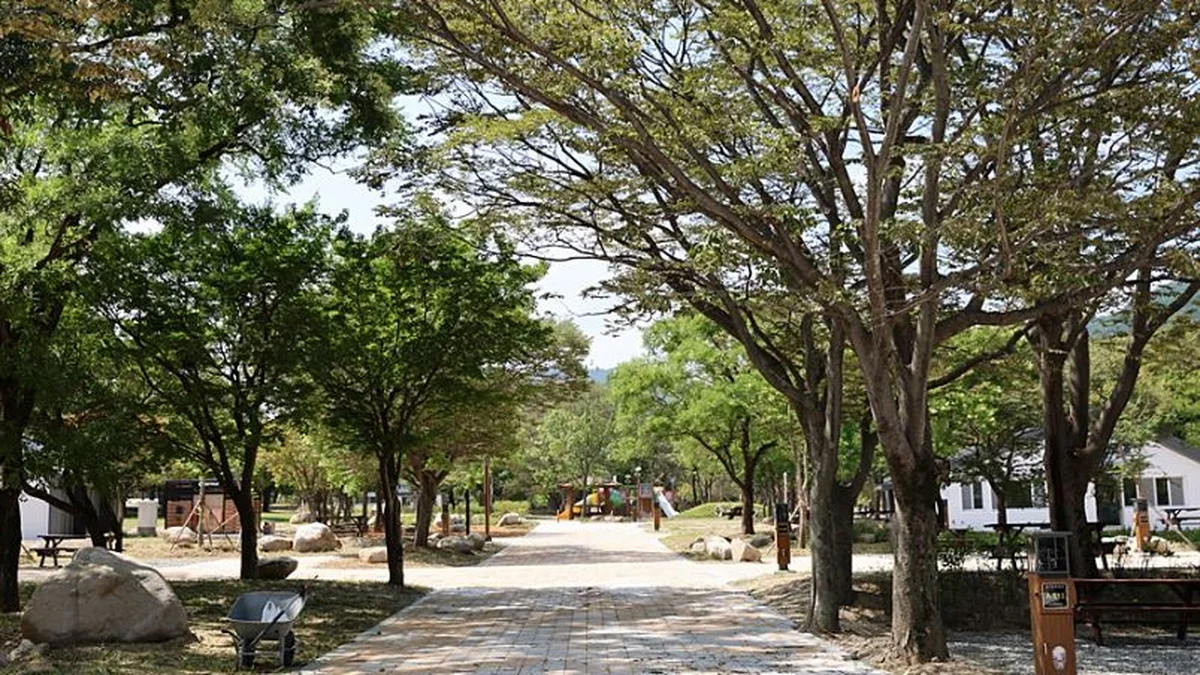설악동자동차야영장