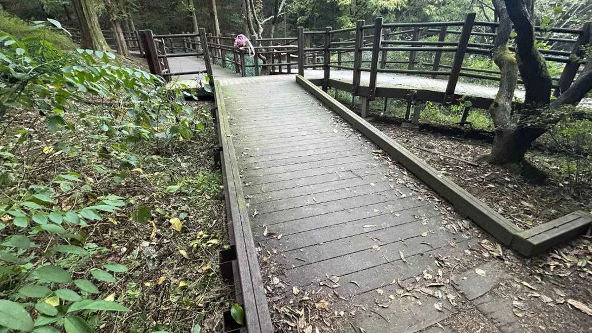 인천대공원 치유숲길