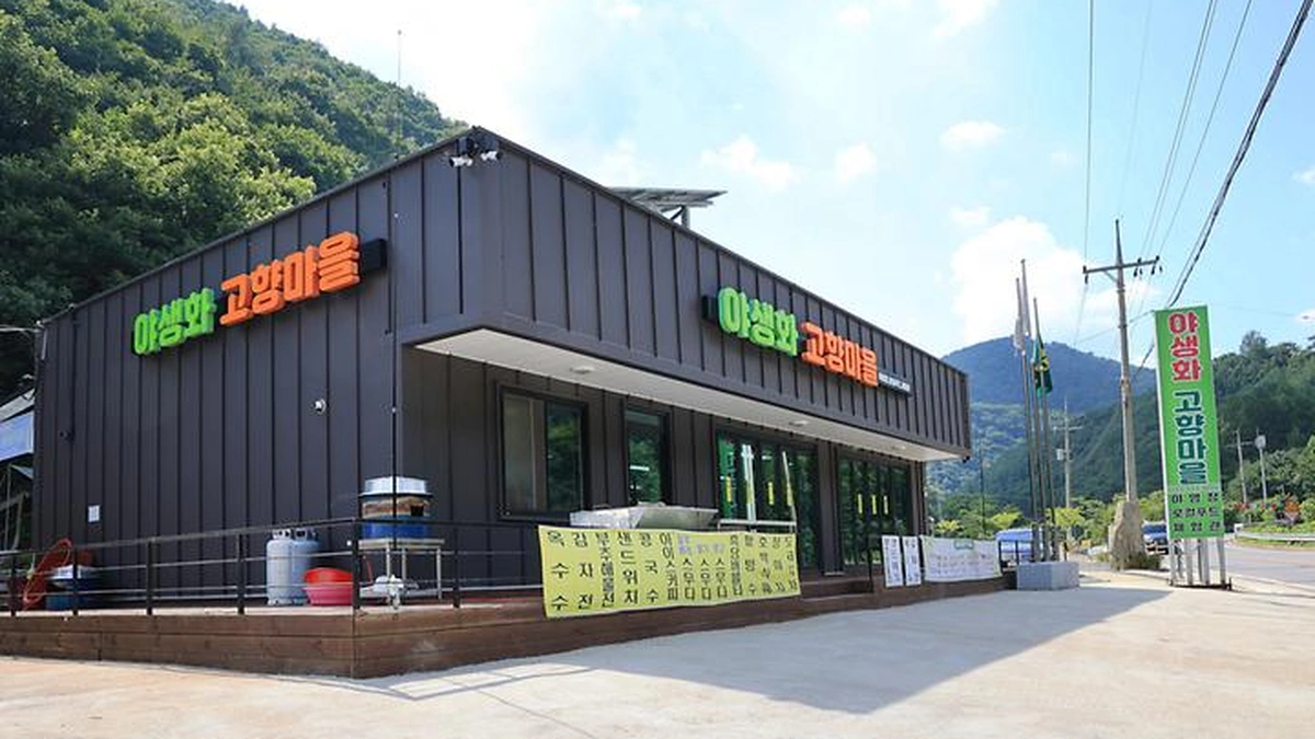 600마지기 가는길 야영장