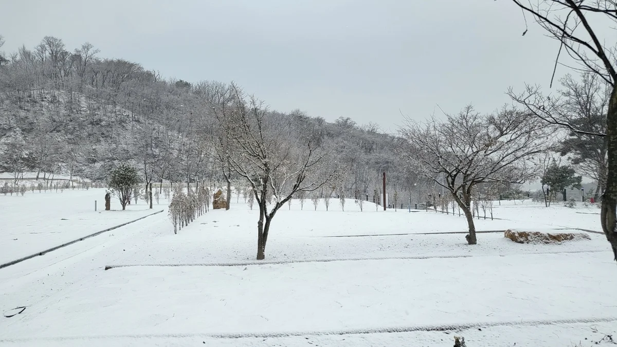필(FEEL) 캠핑장
