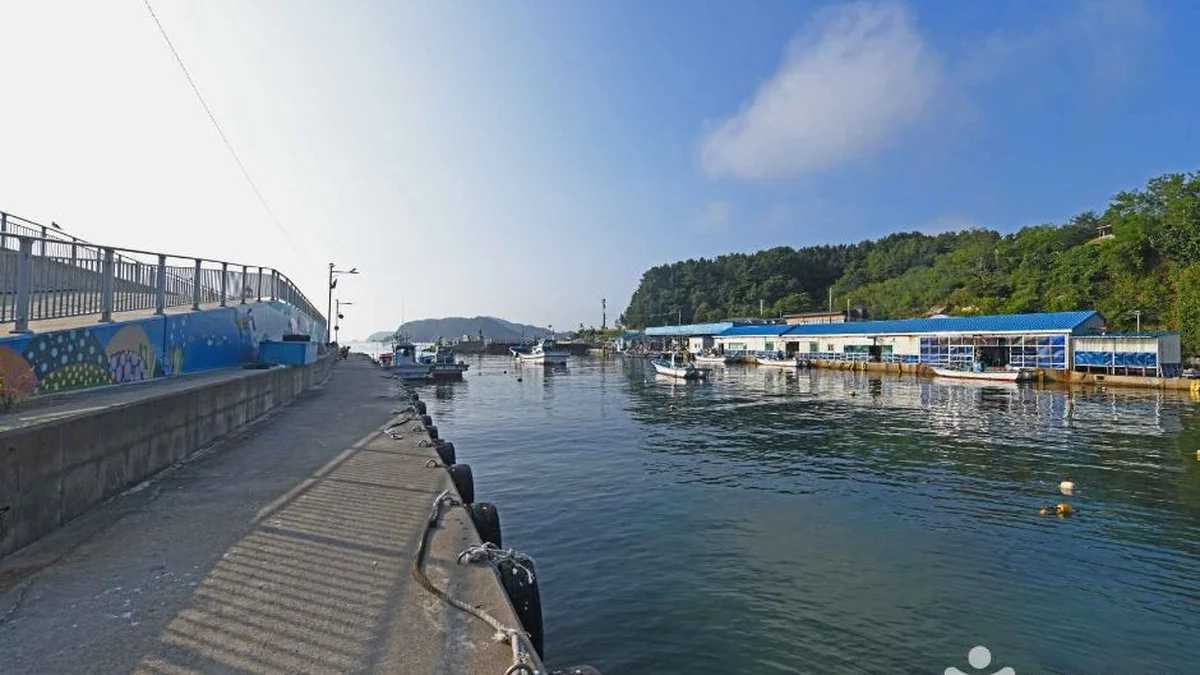 초도항