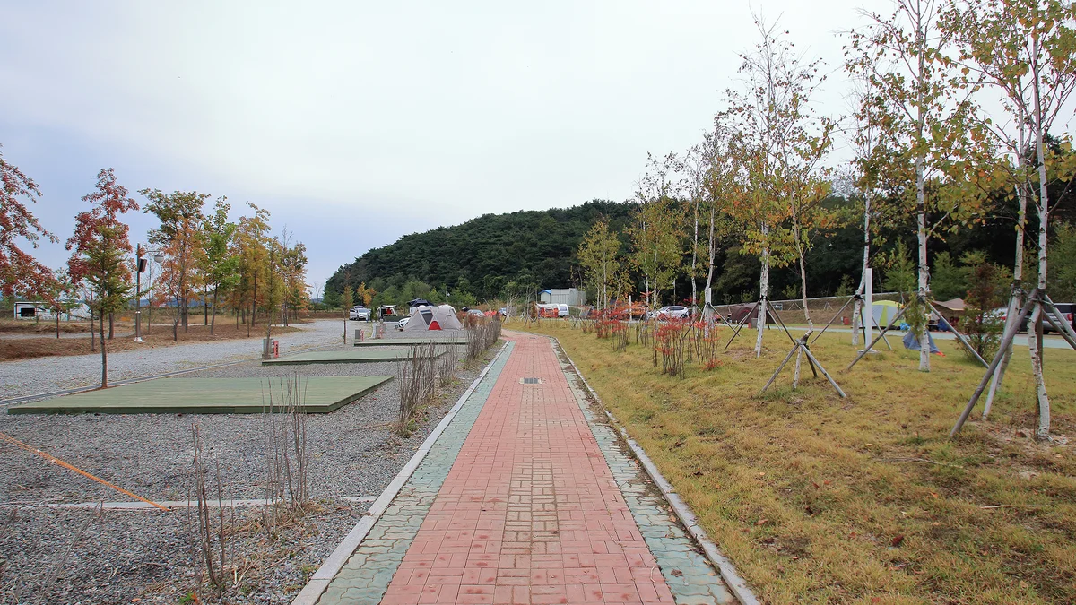 스칸디캠프팜