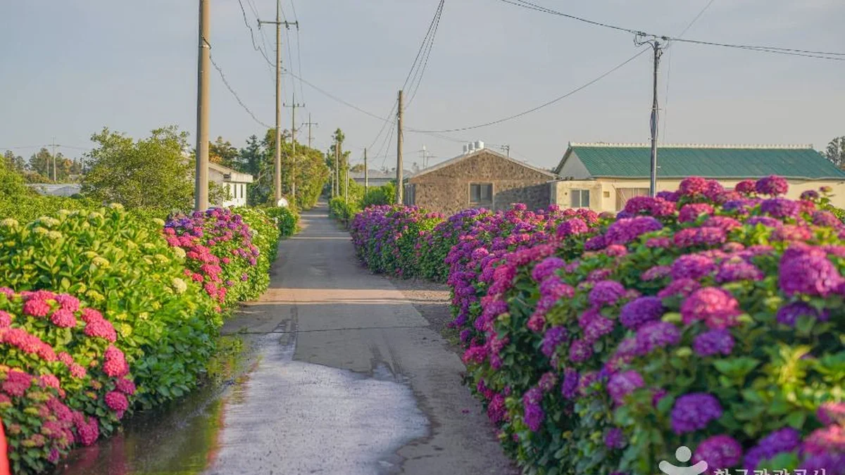 Post Thumbnail