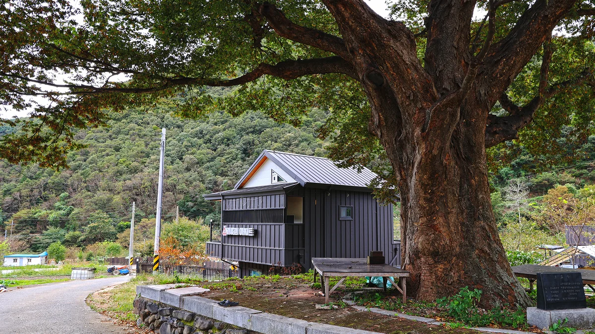 캠앤캠아지트