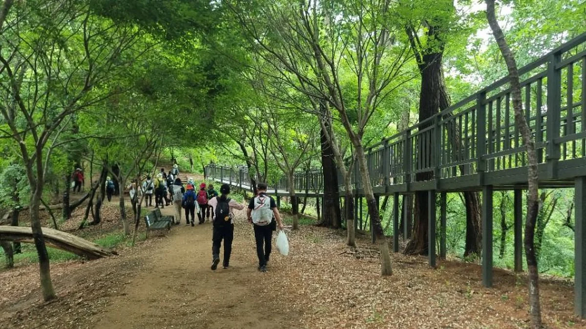 [서울둘레길 16코스] 봉산·앵봉산코스