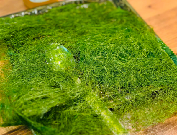 온라인 커뮤니티