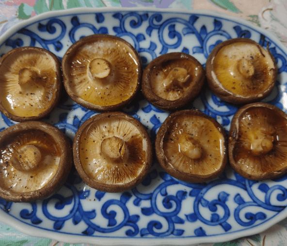 온라인 커뮤니티