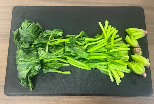 온라인 커뮤니티