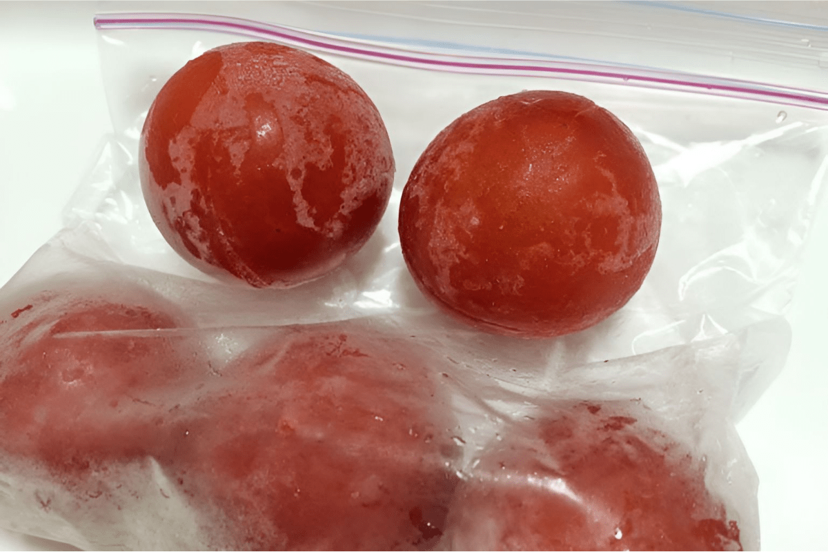 토마토 / 온라인 커뮤니티