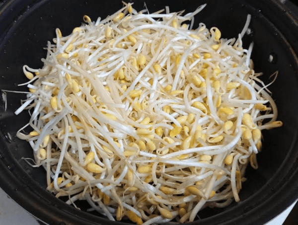 온라인커뮤니티