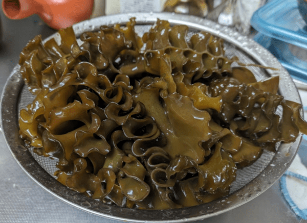 온라인 커뮤니티