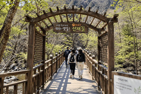 오대산 선재길 / ai로 생성한 이미지