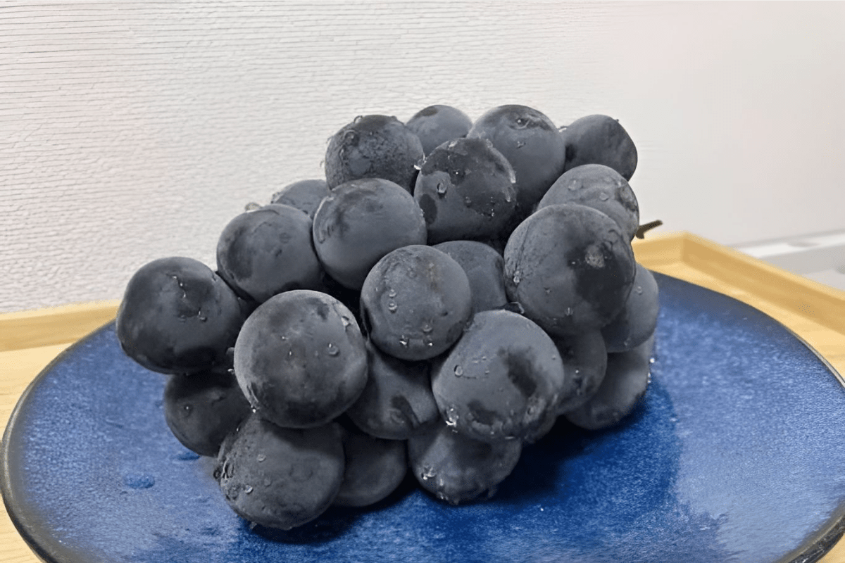 포도 사진 / 온라인 커뮤니티