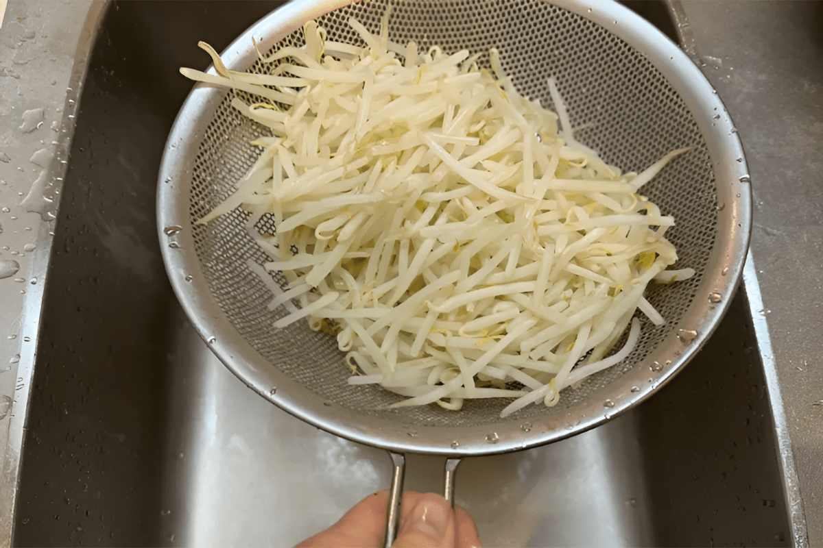 삶은 콩나물 / 온라인 커뮤니티