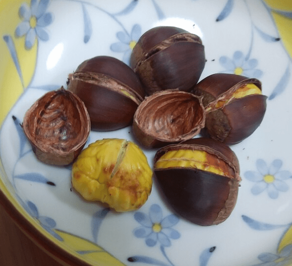 온라인 커뮤니티