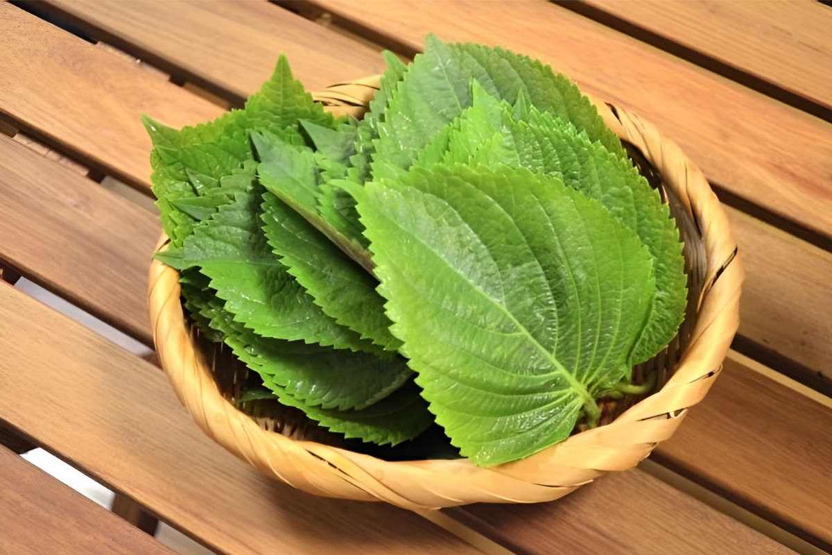 깻잎 / 온라인 커뮤니티