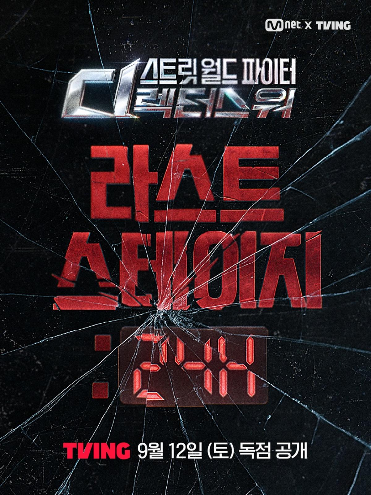 〈스트릿 월드 파이터: 디렉터스 워 - 라스트 스테이지: 24H〉 포스터