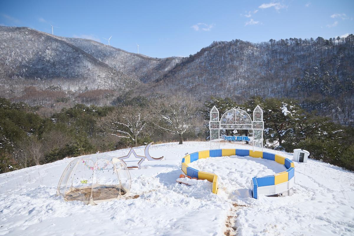 기안84X김연경X이준호X카즈하, 한겨울 대관령 민박 오픈... '대환장 기안장' 시즌2, 9월 22일 공개