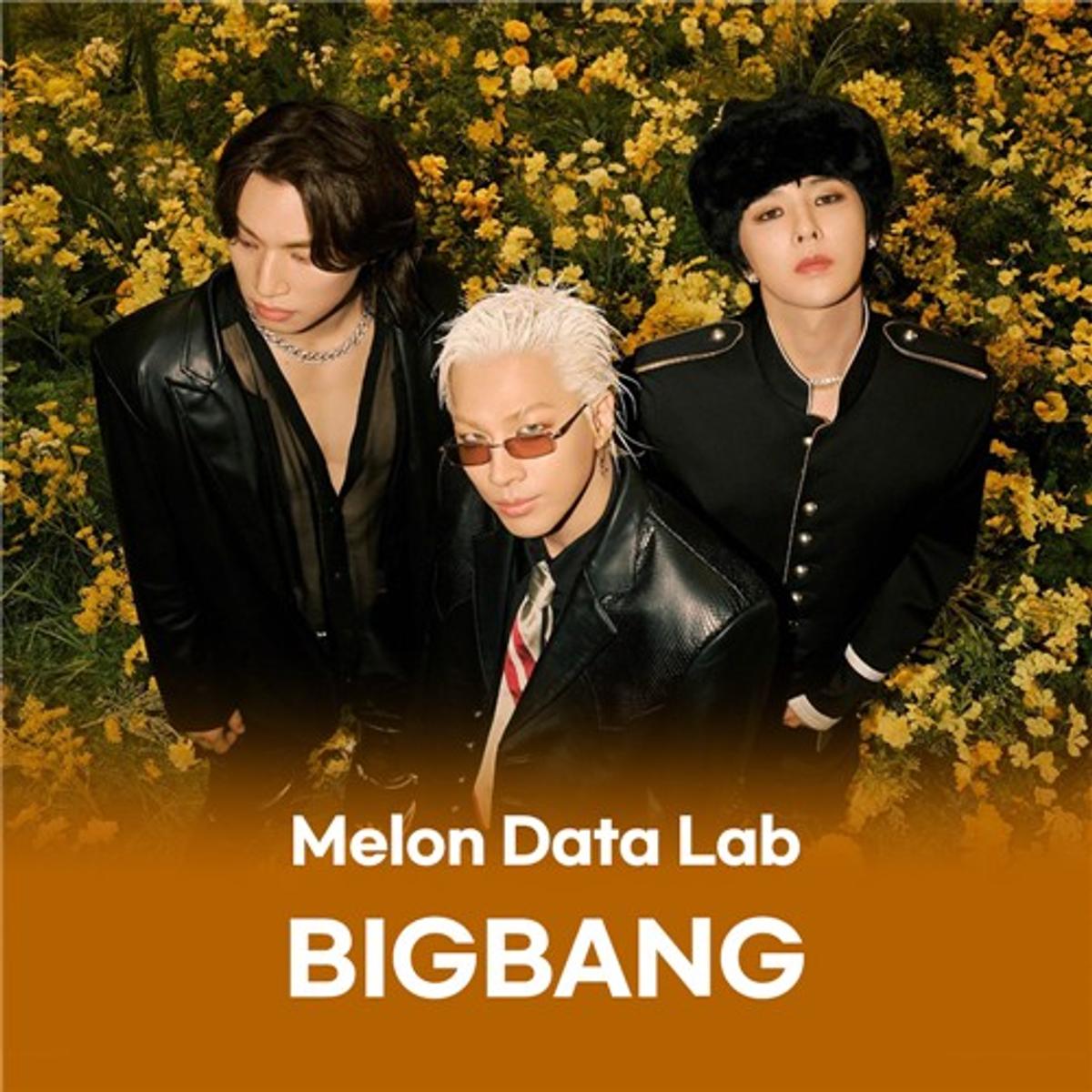 빅뱅 멜론 데이터랩 [멜론 제공. 재판매 및 DB 금지]