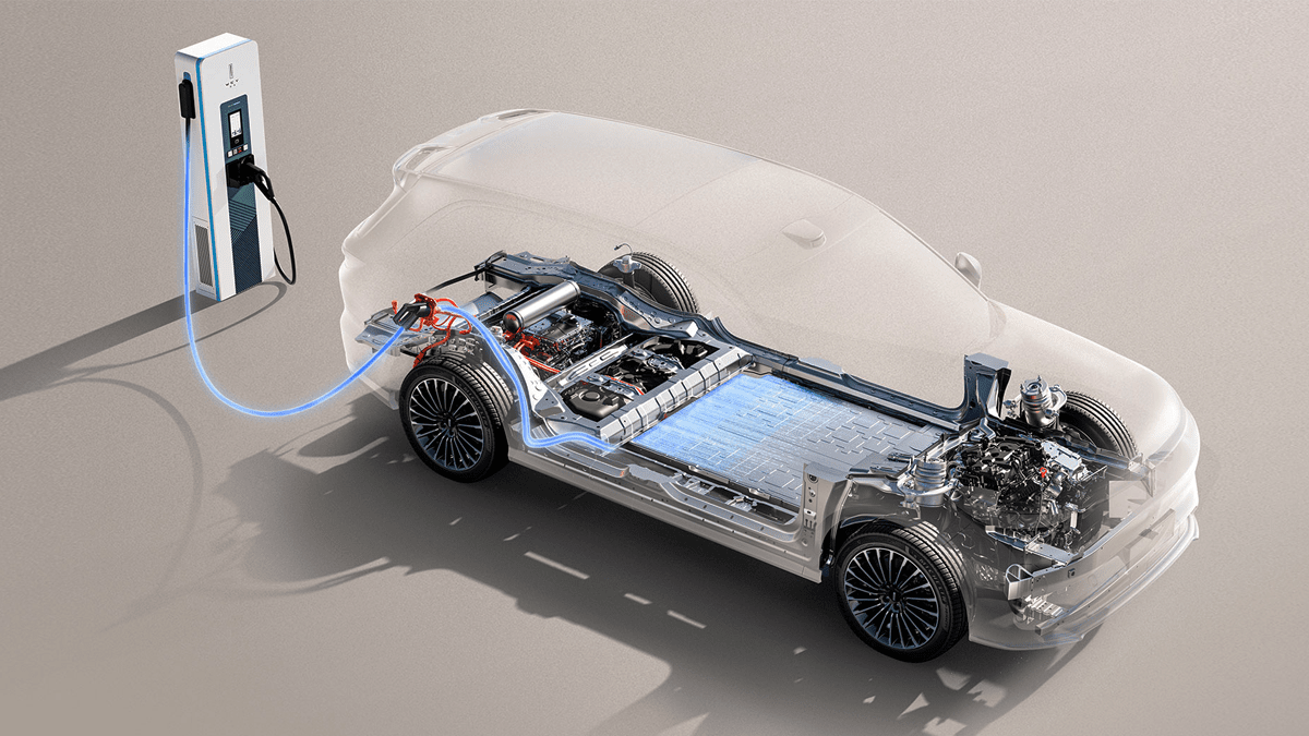 웨이 V8X 배터리팩 / 사진=웨이
