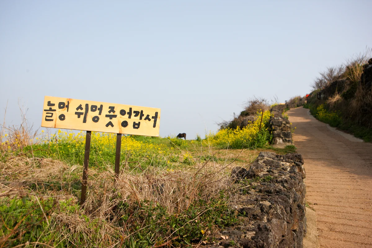 서우봉둘레길 - 함덕가볼만한곳 여행