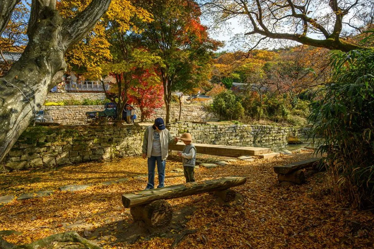 개심사 - 서산여행 여행