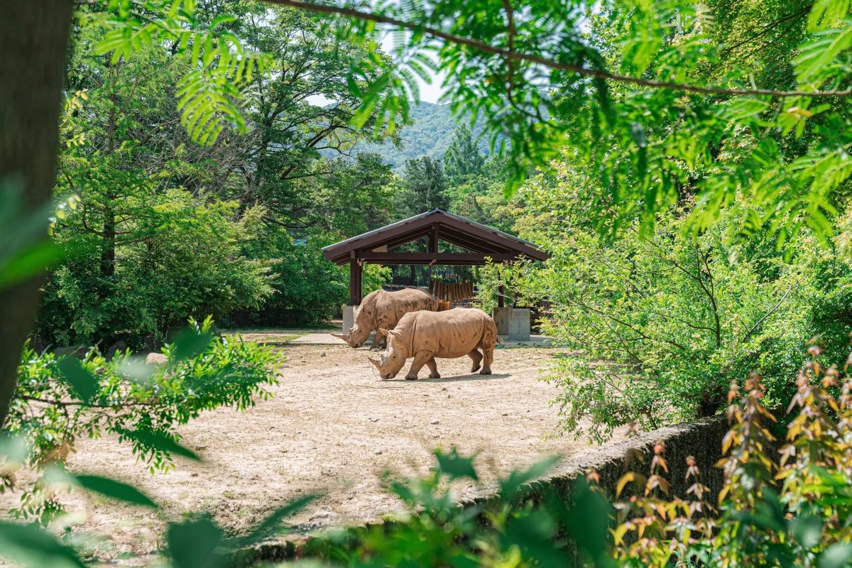 서울대공원 - 청계산 여행