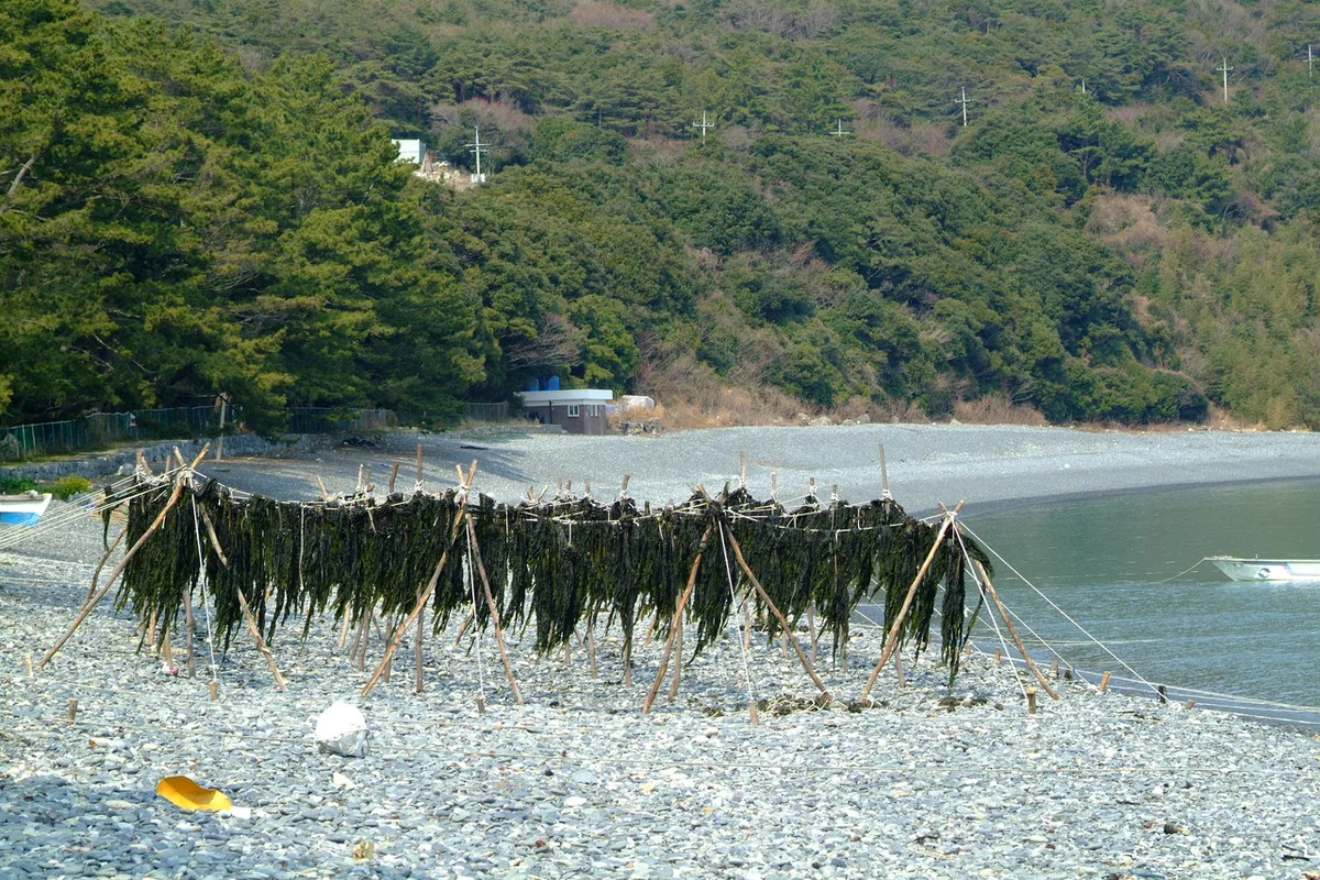 예송갯돌해변 - 보길도여행 여행