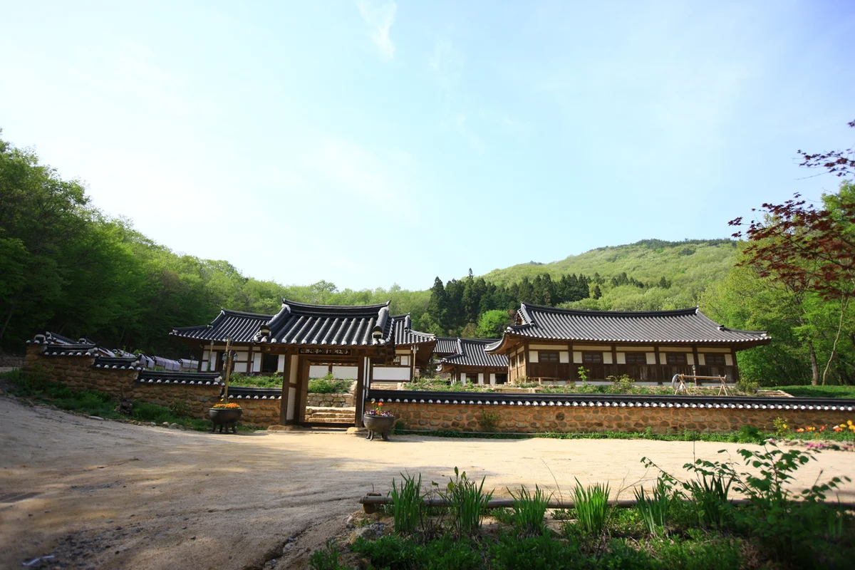 순천전통야생차체험관 - 조계산 여행
