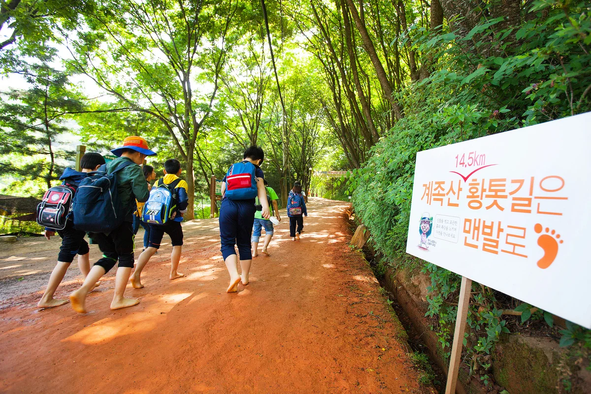 장동산림욕장 - 대덕구여행 여행