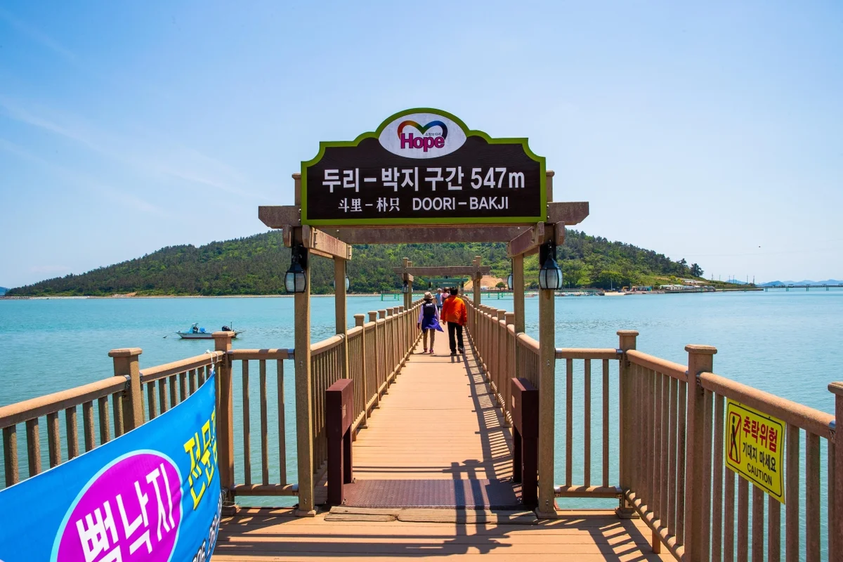 퍼플교 - 퍼플섬 여행