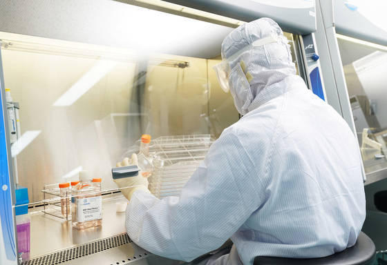 / Kangstem Biotech