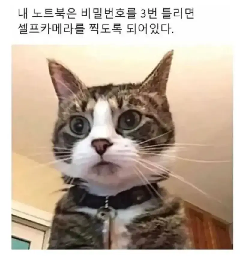 20261024132635_n6o0QZaLnX.webp