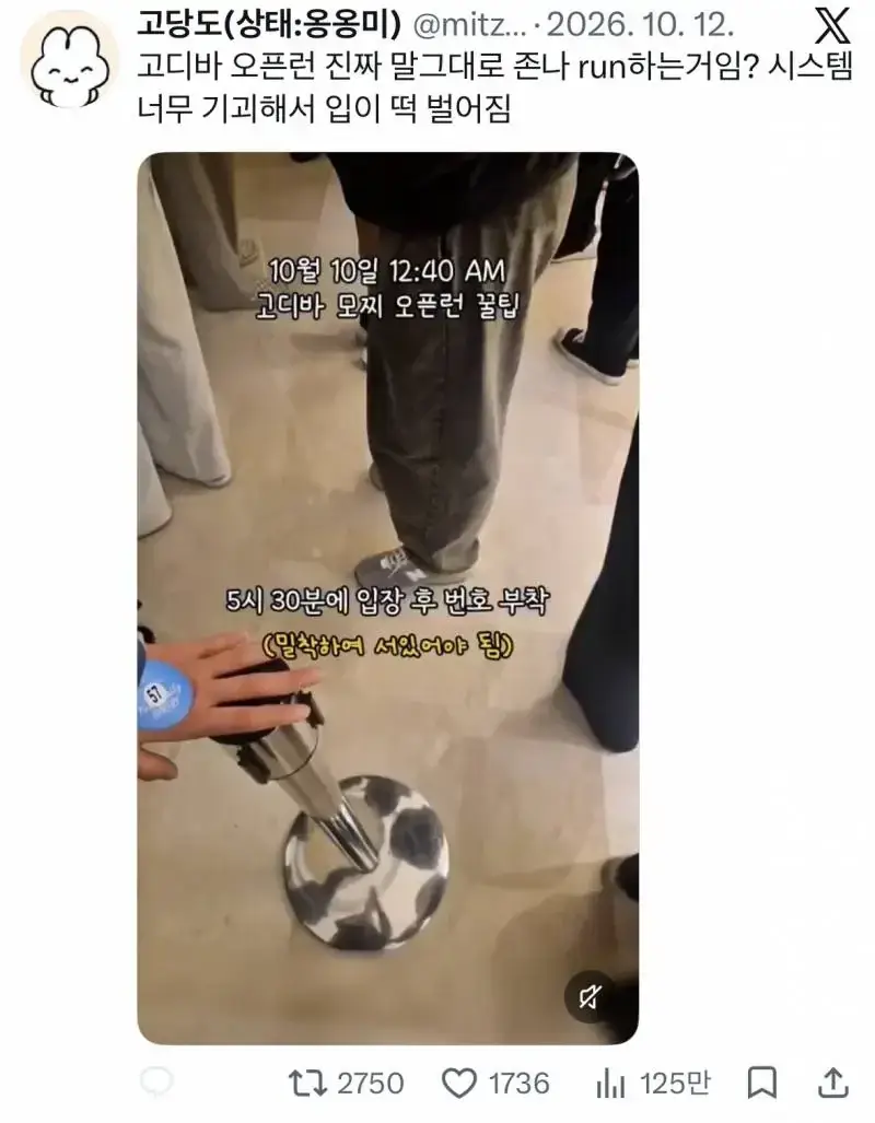 💥이젠 기묘한 수준이라는 고디바 모찌 웨이팅..JPG | 인스즈