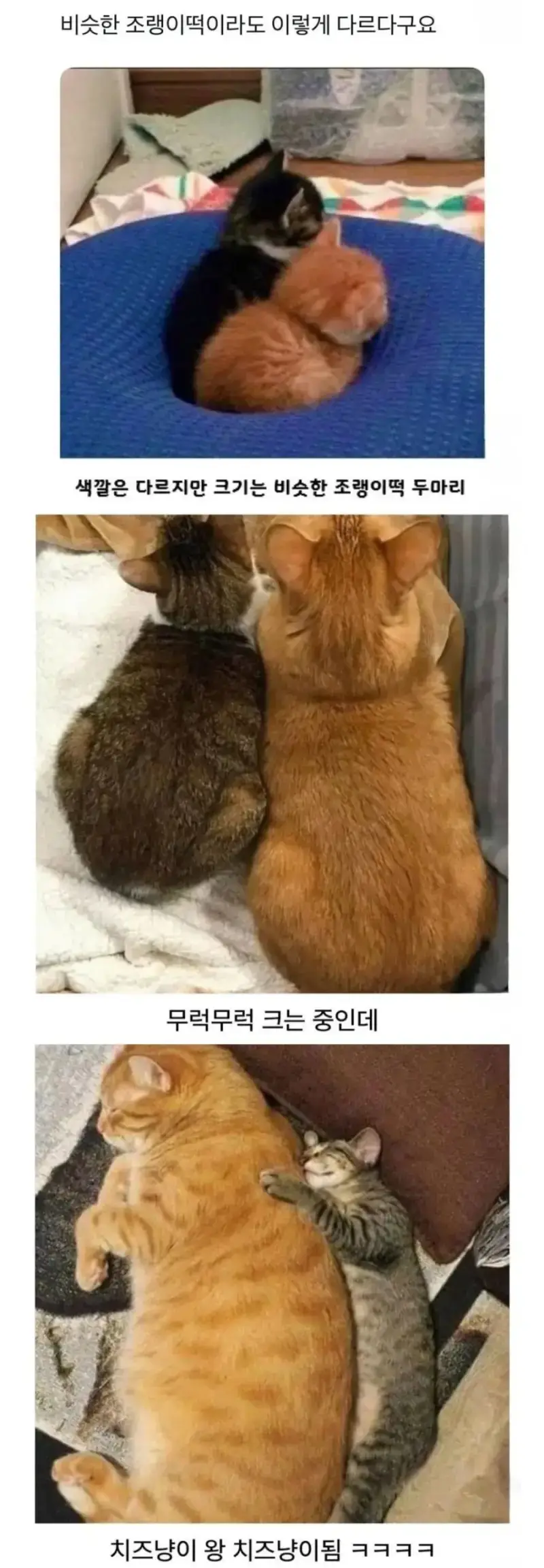 20261030181113_uE6IZN1xvV.png