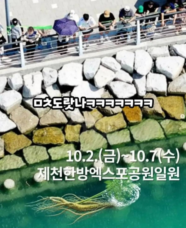 20261005155127_K52eUzWzxd.png