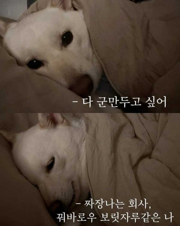 ALjVpJO608uS6MQQwwciU.jpg