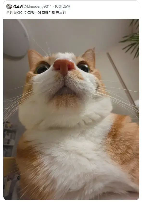 1NZpZsgw1mGMIiWq42EOMw.png