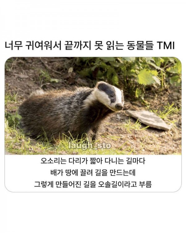 zrrR1GxiWQsuaoo4Eg4aS.jpg