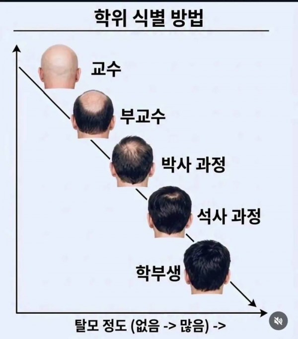 5qUKxgC8lq8Mk4oiOA62C0.jpg
