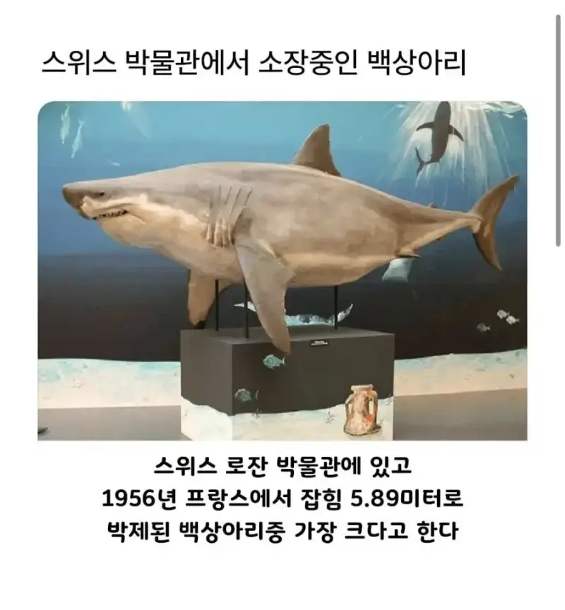 20261029003427_pGxd1wZrYj.png
