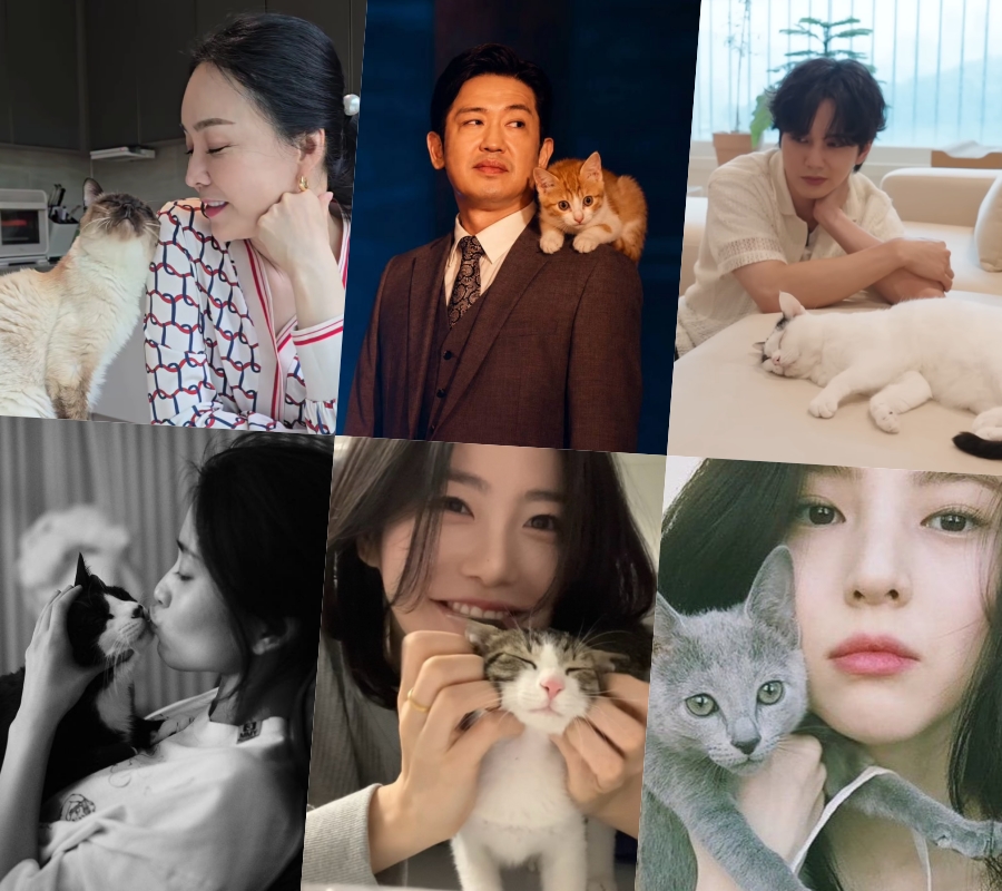 사진: 김정난, 허성태, 김태리, 신예은, 한소희 SNS, 유튜브 채널 '미야옹철의 냥냥펀치' 캡처
