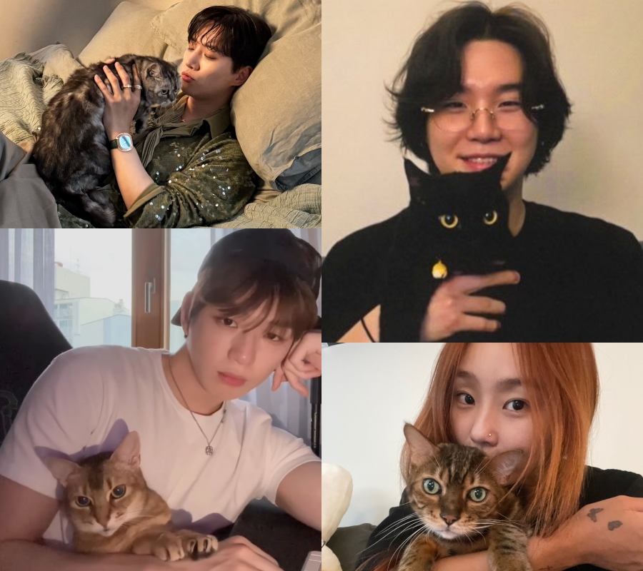 사진: 이준호, 강다니엘 SNS, 슈가 라이브방송 캡처, 효린 위버스