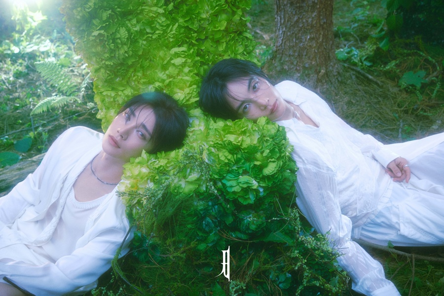 세븐틴 정한X조슈아 \