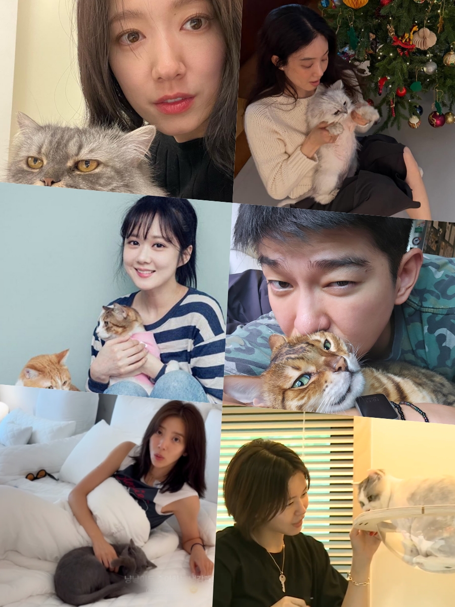 사진: 박신혜, 정려원, 장나라, 윤균상, 손담비 SNS, MBC '나혼자산다' 캡처