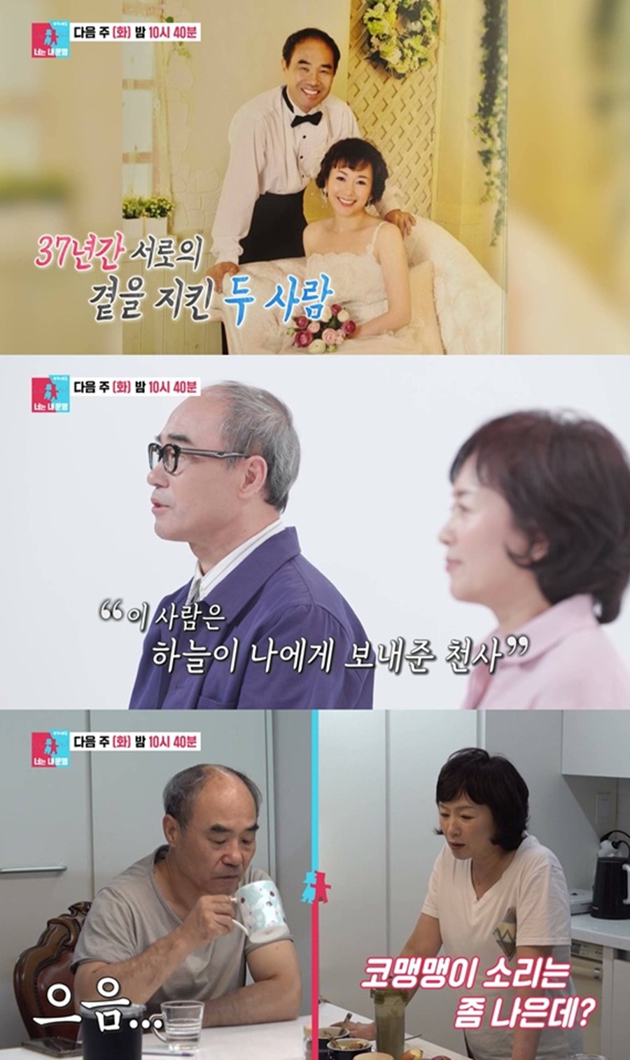 사진: SBS 제공