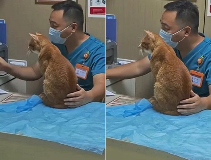 애니멀플래닛