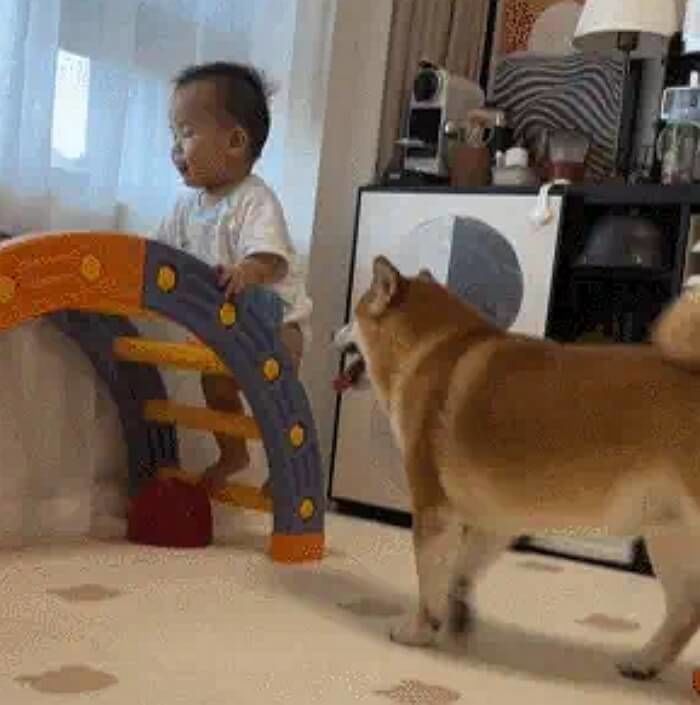 애니멀플래닛